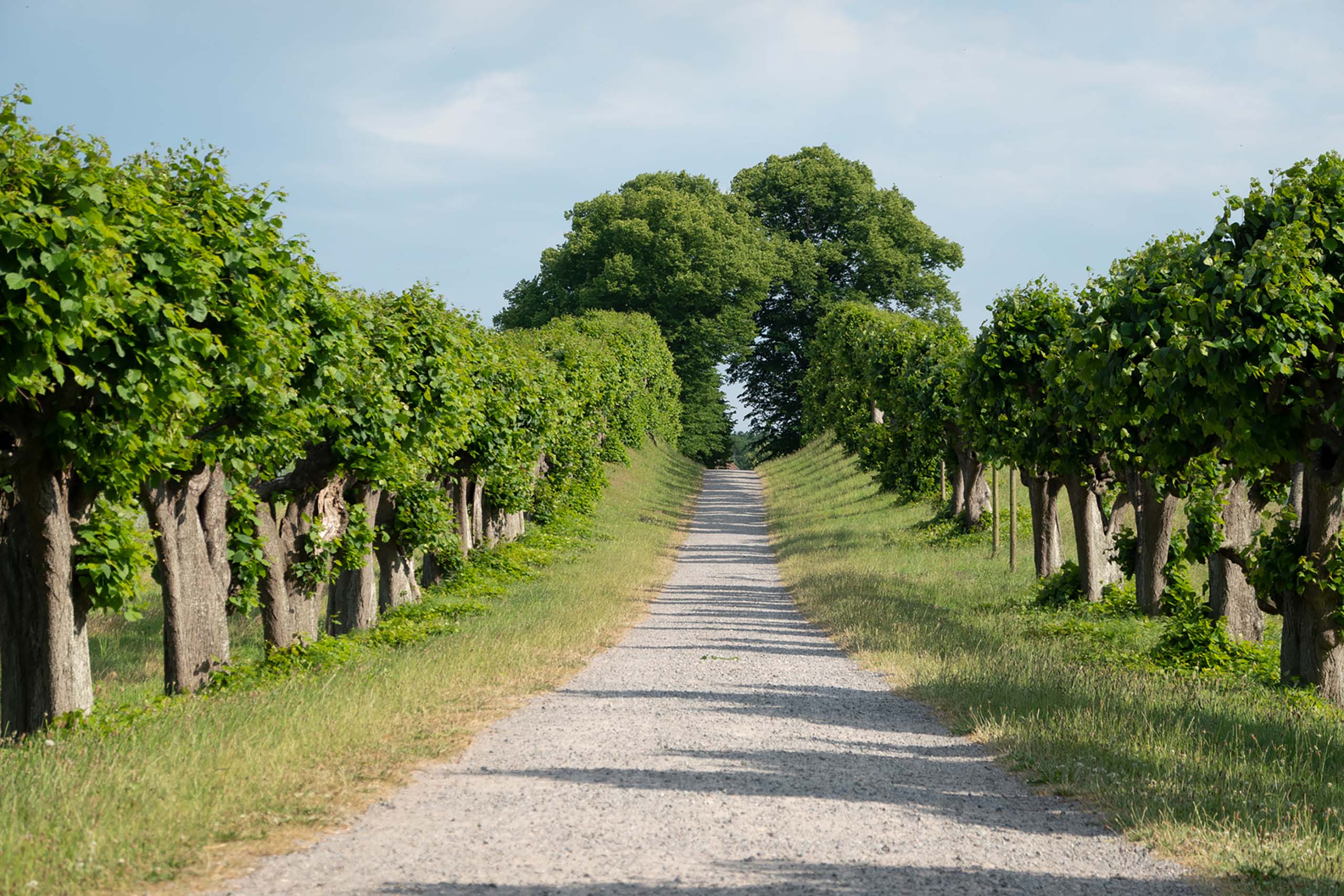 Naturresort Christinenfeld